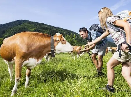 Апартаменти Casper *